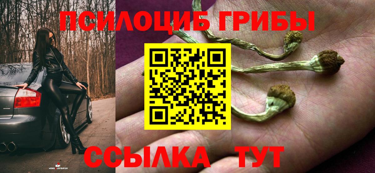 Псилоцибиновые грибы мицелий Новошахтинск