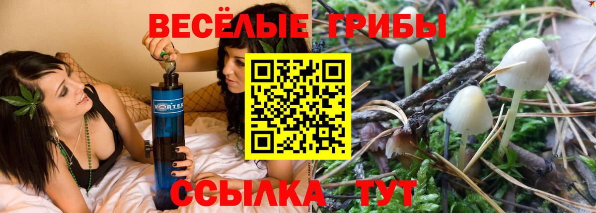 даркнет сайт  Галлюциногенные грибы мухоморы  Вход с VPN  Новошахтинск 